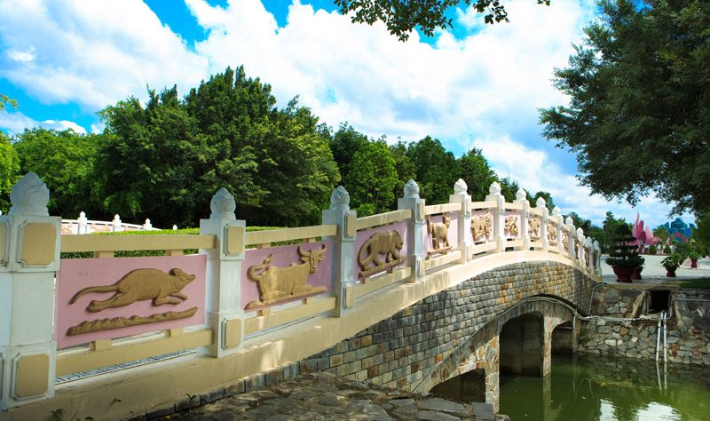 cau-thuy-long