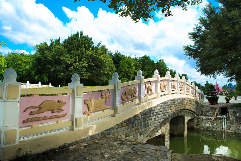 cau-thuy-long