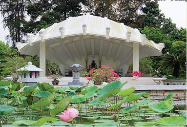 cu-nguyen-sinh-sac