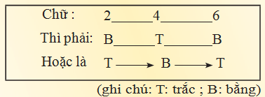 man-dam-hai-chu-am-duong