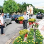 Tâm Linh Lễ & Hội Tiết Thanh Minh