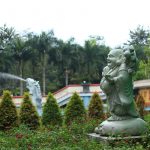 Việc Sử Dụng Đất Hoàn Thổ Trong An Táng