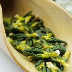 Tam-Sen