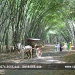 Nhớ đến những người thầy đang an nghỉ nơi đây! (Phần I)