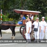 Linh khu với “sức khỏe đích thực”