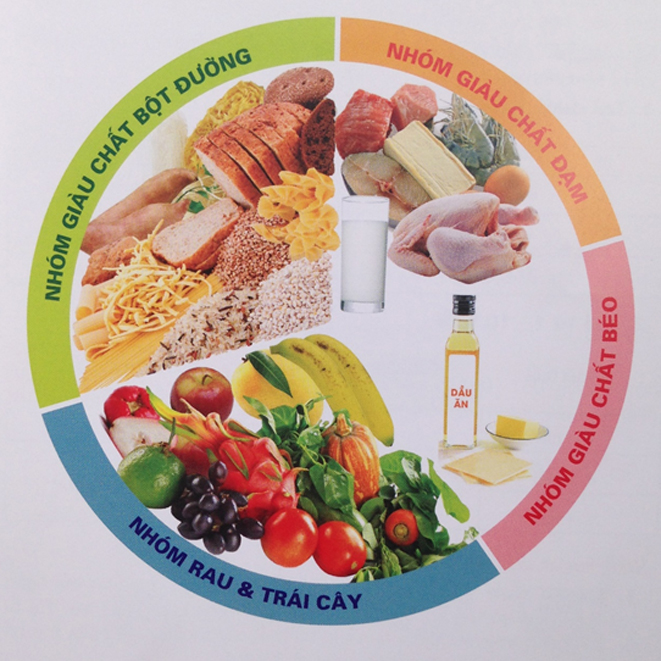 4 nhóm chất dinh dưỡng