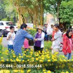 Vào mùa trẩy hội đón Xuân!