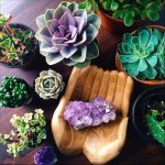 Những mẹo dùng đá phong thủy hiệu quả nhất ai cũng nên biết!